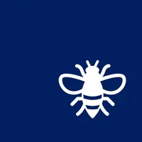 THL 1 - Insekten.jpg