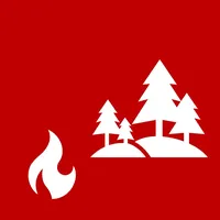 B 2 - im Freien Wald, klein.jpg